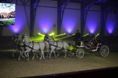 Mini IMG 5908